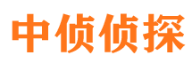 台山市侦探公司